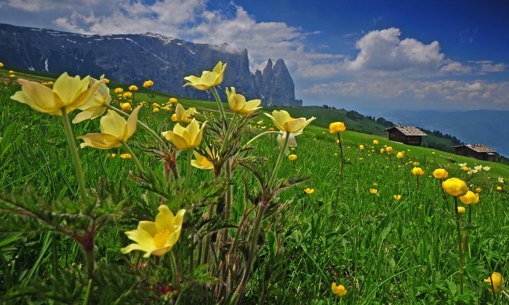 Garni Alpin Hotel Siusi Ngoại thất bức ảnh