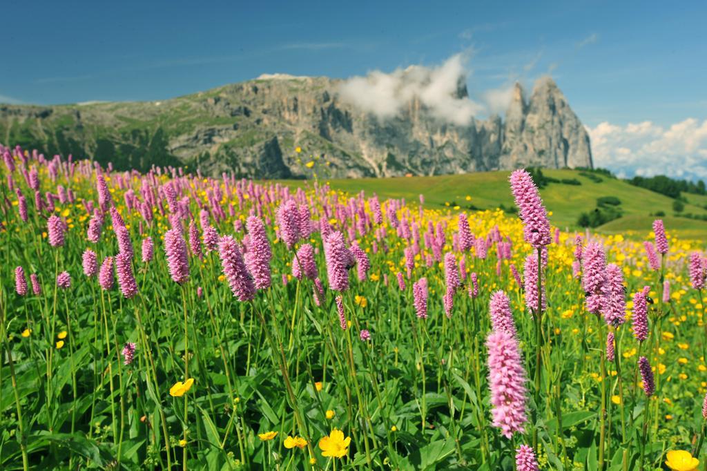 Garni Alpin Hotel Siusi Ngoại thất bức ảnh